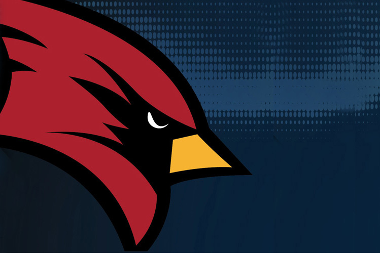 SVSU Cardinal logo