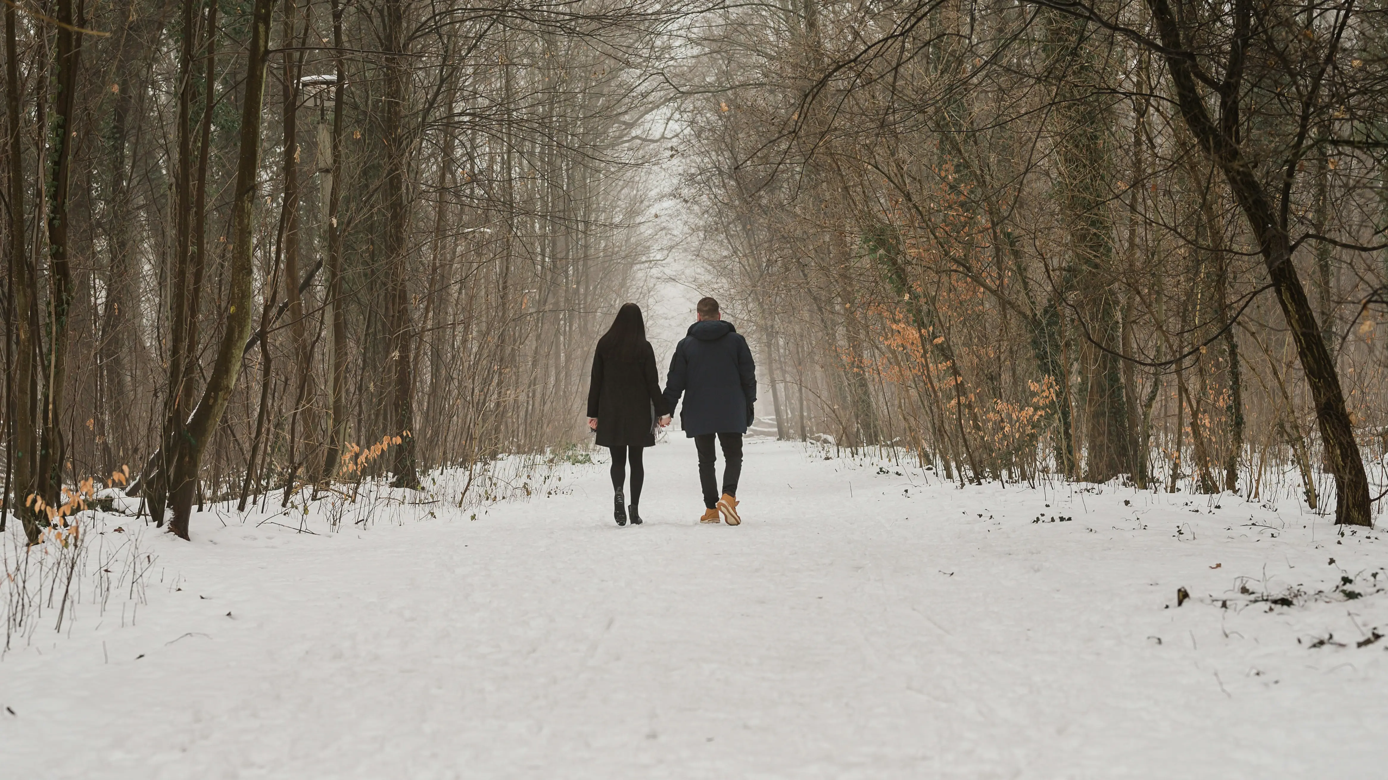 A couple with a dog and a campfire A couple camping in the wilderness with their dog