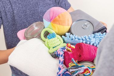 toys, yarn, blankets for animal shelter