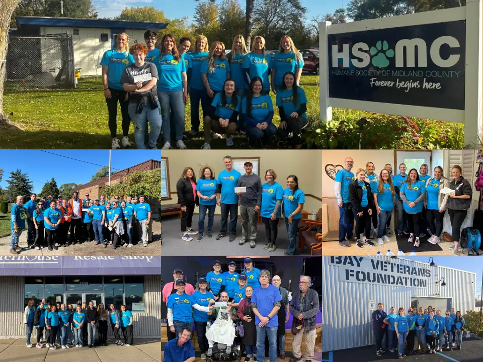 Wildfire employees volunteer across the Tri-Cities at all various organizations.