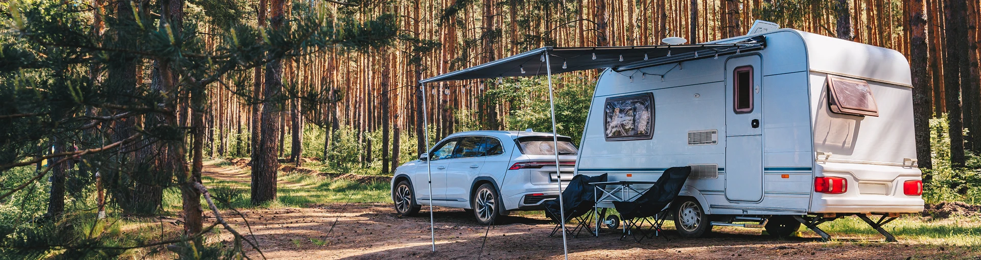 Retro camper on sunny day in the middle of a Michigan pine forest.