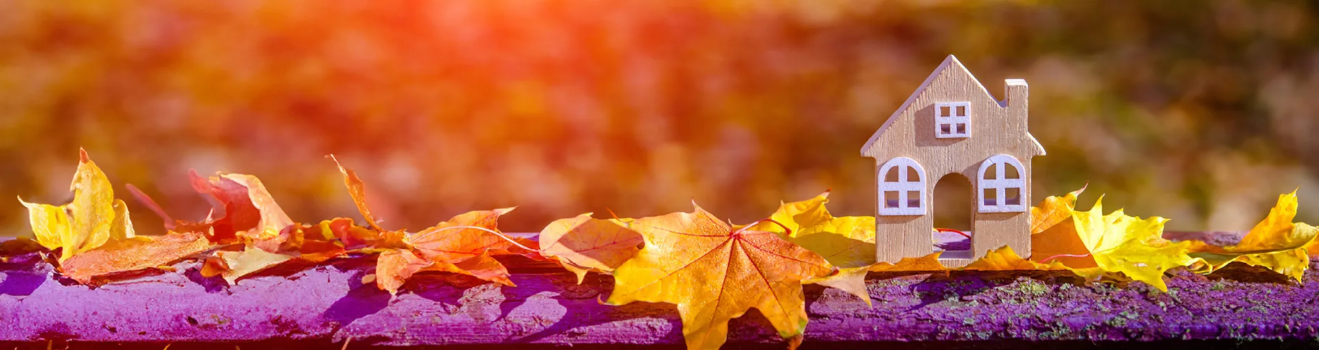 Fall leaves surrounding miniature decorative house with sun shining on them.