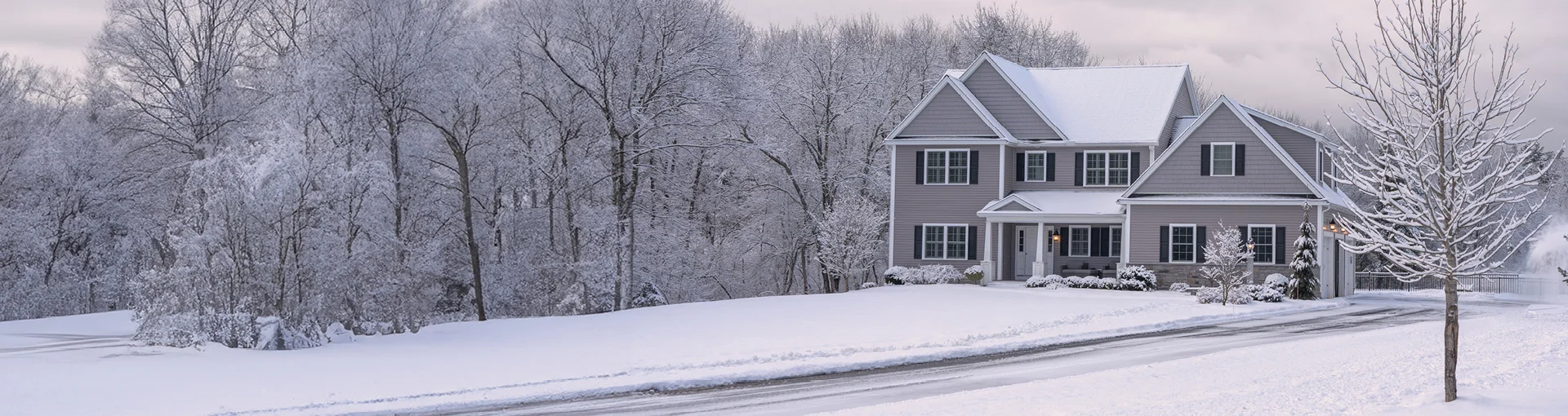 Michigan home in the winter covered with a blanket of snow on the ground and trees.