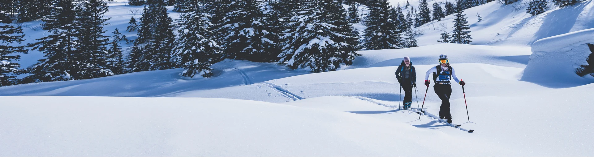Two women cross-country skiing on hills through a pine forest and open area.