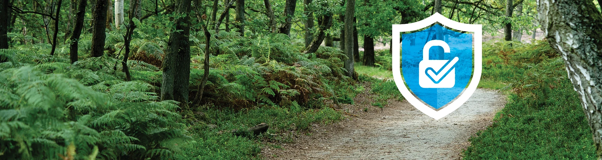 A dirt trail weaving through a dense forest with a blue shield overlaid with a lock and checkmark.