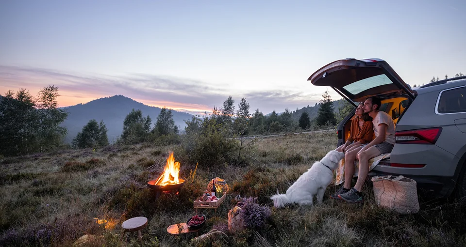 A couple with a dog and a campfire A couple camping in the wilderness with their dog