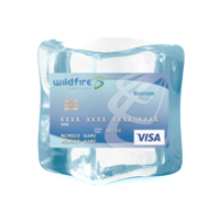 Credit card frozen in ice