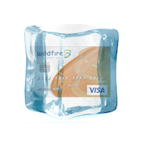 Debit card frozen in an ice cube to display your card frozen
