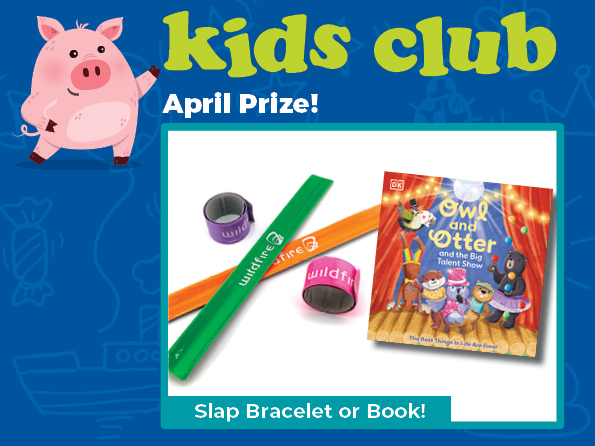 image of two slap bracelets, two rulers, and a book titled Owl & Otter