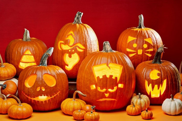 Pumpkin contest a group of carved pumpkins with candles in them