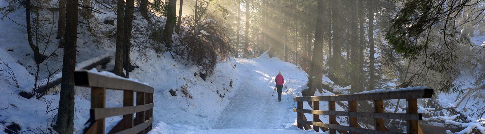 Person in pink Jacket hiking through Snow Covered forest with rising sun Person in pink Jacket hiking through Snow Covered forest with rising sun